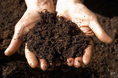 خاک های آهکی چیست؟